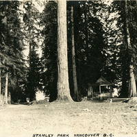 Thumbnail for McCarthy Album 08, Photograph 016