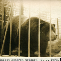 Thumbnail for McCarthy Album 06, Photograph 030