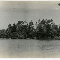 Thumbnail for McCarthy Album 05, Photograph 291