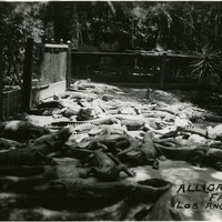 Thumbnail for McCarthy Album 10, Photograph 022