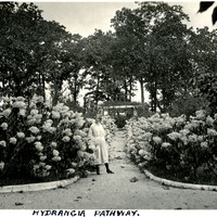 Thumbnail for McCarthy Album 09, Photograph 160