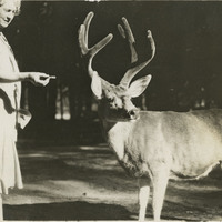 Thumbnail for McCarthy Album 10, Photograph 338