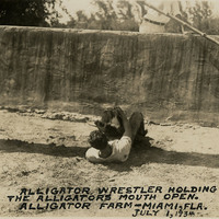 Thumbnail for McCarthy Album 11, Photograph 103