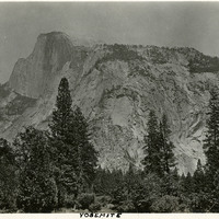 Thumbnail for McCarthy Album 09, Photograph 250