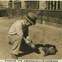 Thumbnail for McCarthy Album 10, Photograph 119