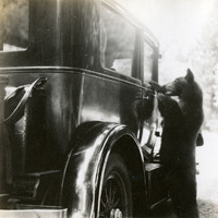 Thumbnail for McCarthy Album 04, Photograph 268