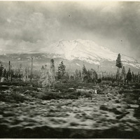 Thumbnail for McCarthy Album 08, Photograph 171