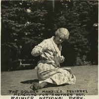 Thumbnail for McCarthy Album 10, Photograph 235