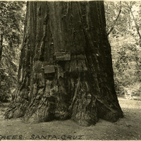 Thumbnail for McCarthy Album 03, Photograph 078
