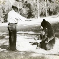 Thumbnail for McCarthy Album 04, Photograph 277