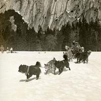 Thumbnail for McCarthy Album 04, Photograph 288