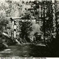 Thumbnail for McCarthy Album 09, Photograph 286