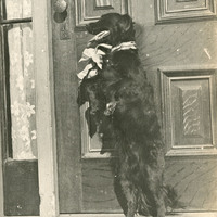 Thumbnail for McCarthy Album 06, Photograph 118