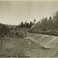 Thumbnail for McCarthy Album 07, Photograph 261
