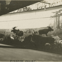 Thumbnail for McCarthy Album 07, Photograph 163