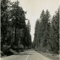 Thumbnail for McCarthy Album 10, Photograph 268