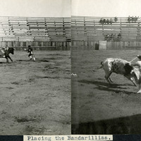 Thumbnail for McCarthy Album 08, Photograph 258
